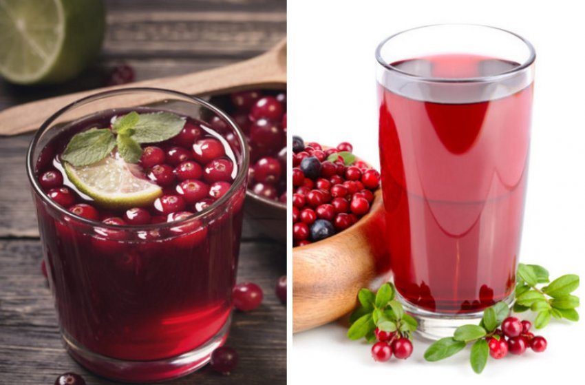 Брусниця для підвищення імунітету і тиску Брусниця для підвищення імунітету і тиску