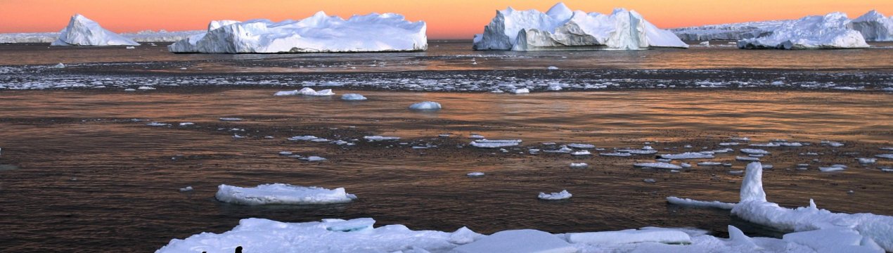 Сибіряки навчать арктичних агрономів вирощувати рослини без землі