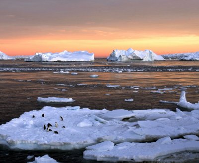 Сибіряки навчать арктичних агрономів вирощувати рослини без землі