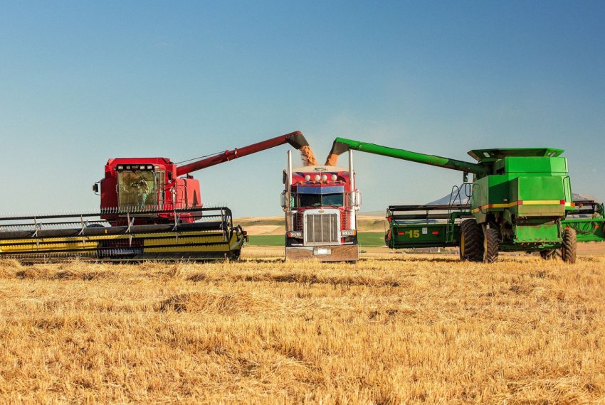 Україна щороку втрачає близько 7 мільйонів тонн зерна із-за дефіциту комбайнів Україна щороку втрачає близько 7 мільйонів тонн зерна із-за дефіциту комбайнів