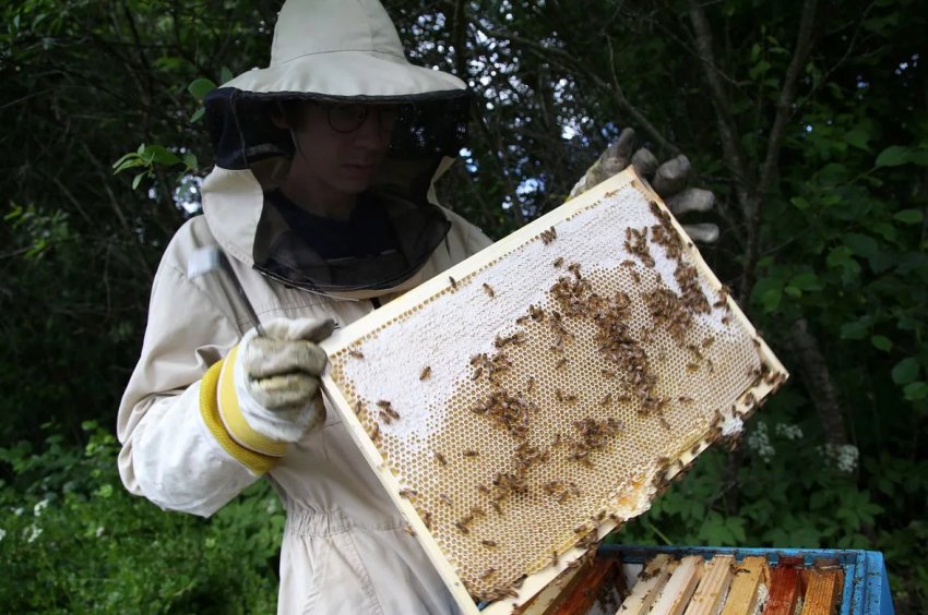 Російських селян навчать правильно виходити на зовнішній ринок