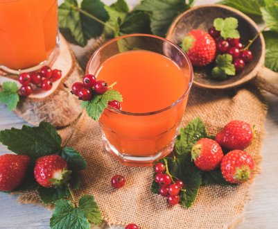 Волинський фермер вирощує ягоди по німецькій технології