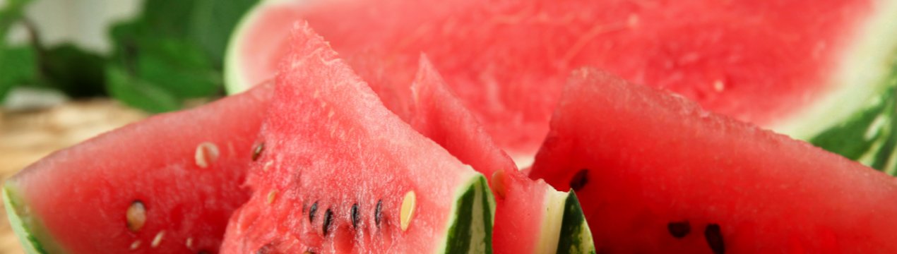 Херсонські аграрії очікують гарного врожаю динь і кавунів