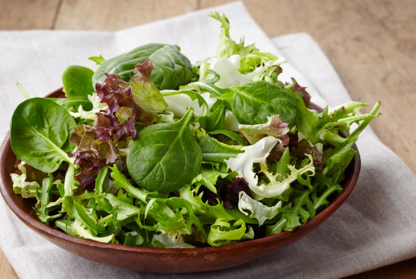 Столичні городи потопають у салатної зелені Столичні городи потопають у салатної зелені