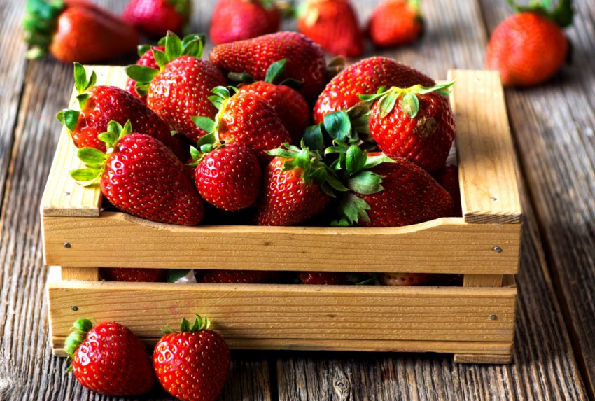 Думка експерта: чому московська полуниця дорожче краснодарської