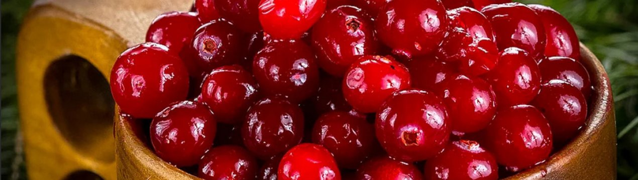 Лікування педикульозу журавлиною: методи