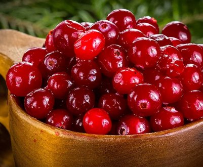 Лікування педикульозу журавлиною: методи