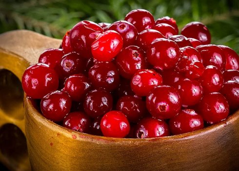 Лікування педикульозу журавлиною: методи