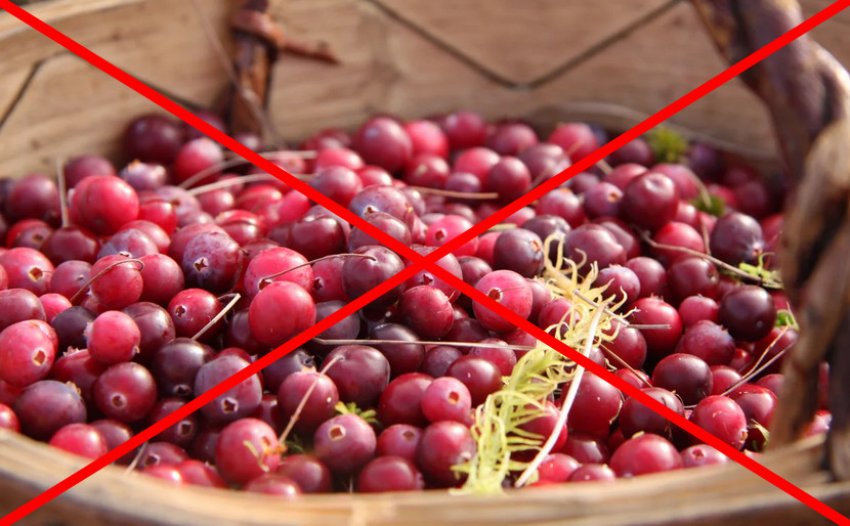 Журавлина Журавлина