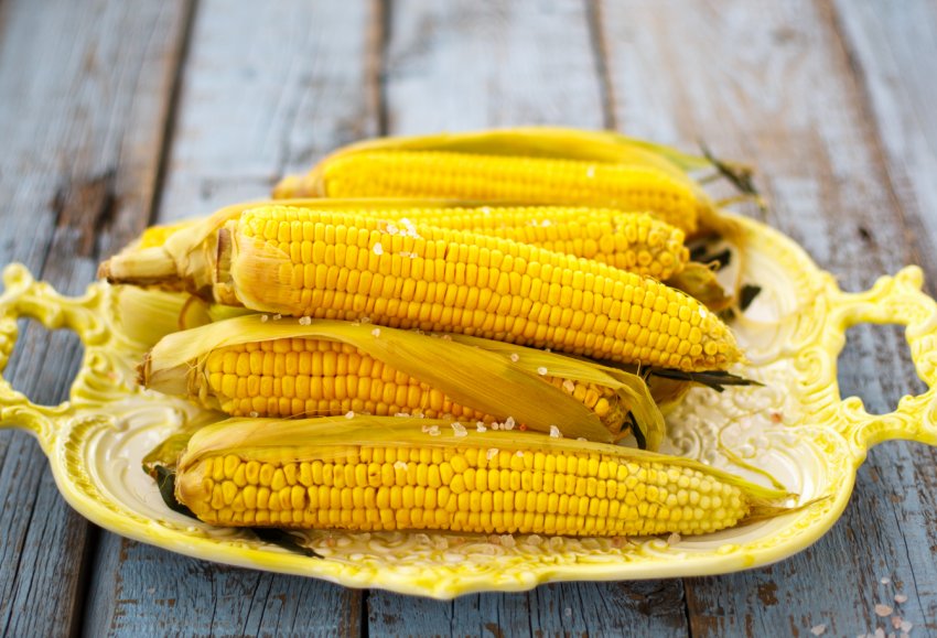 Зростання внутрішніх цін на кукурудзу «урізає» бразильських виробників м'яса