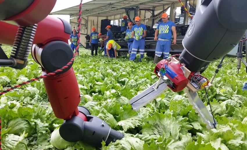 Британський університет взявся за створення першого в світі агро-робототехнического центру Британський університет взявся за створення першого в світі агро-робототехнического центру