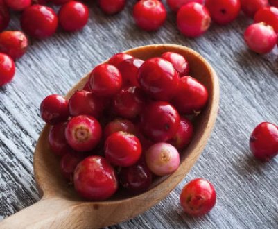 Застосування журавлини при діабеті: механізм дії, в якому вигляді вживати