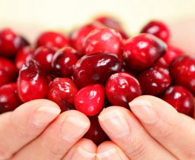 Лікування циститу журавлиною: як приймати, приготування