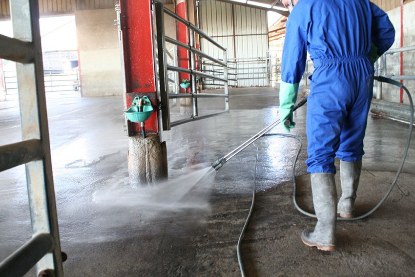 Дезінфекція території та інвентарю