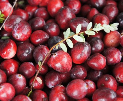 Користь і шкода журавлини для жінок