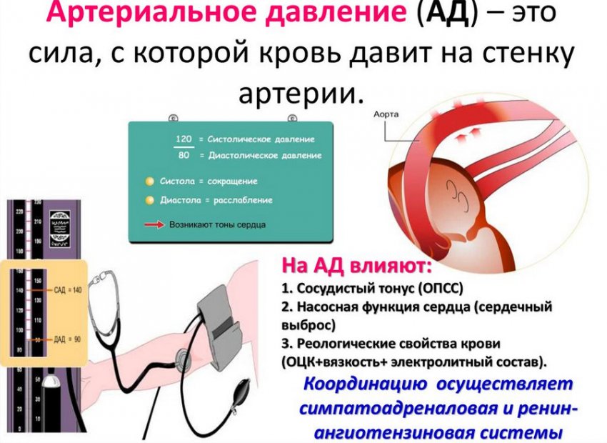 Артеріальний тиск Артеріальний тиск
