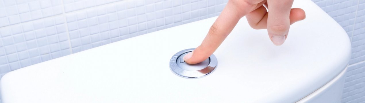 Має журавлина сечогінний ефект