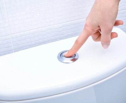 Має журавлина сечогінний ефект