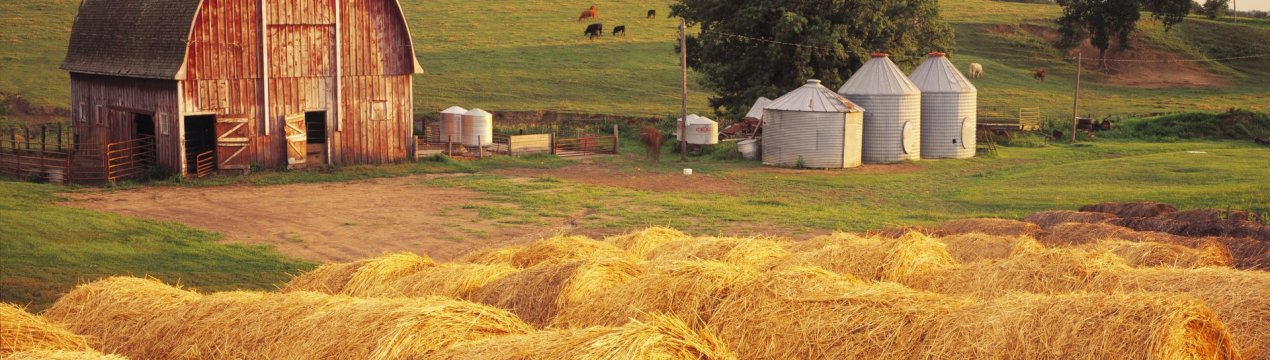 Неохайних російських фермерів будуть позбавляти землі