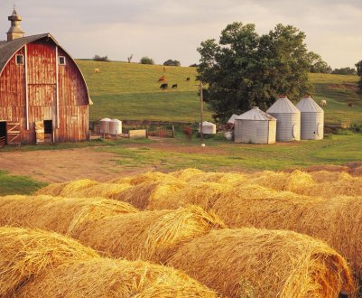 Неохайних російських фермерів будуть позбавляти землі