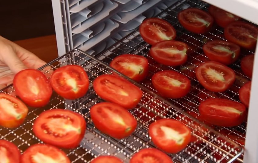 Сітки з томатами