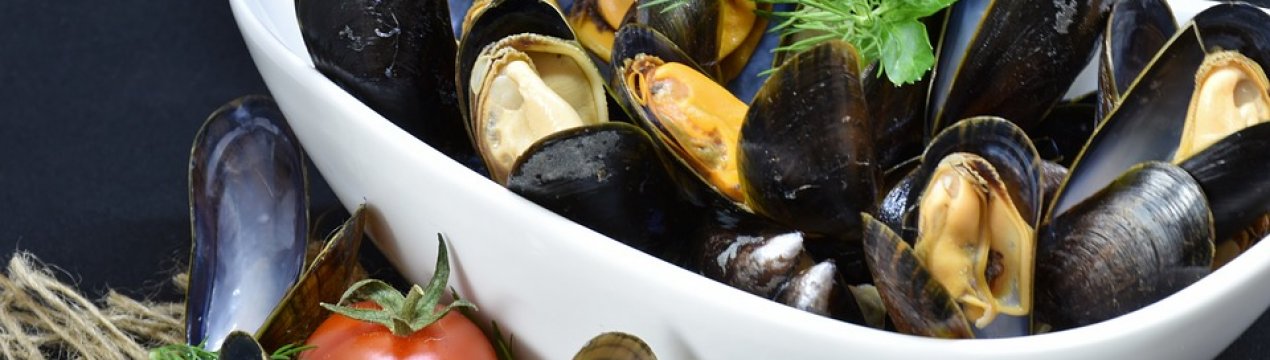 Акваторію Чорного моря планують здавати в оренду для вирощування мідій