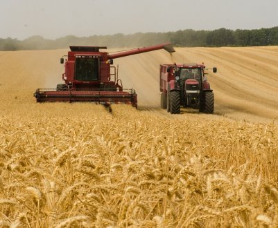 Аграрії південних областей України повідомляють про рівень врожайності озимих культур і гороху