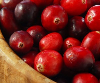 Користь і шкода застосування журавлинного морсу