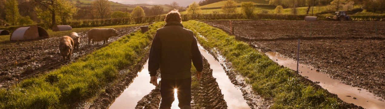 У Великобританії відзначено зростання числа працюючих фермерів, які потребують благодійної допомоги