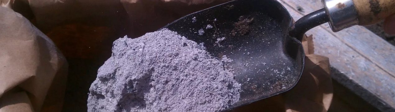 Можно ли осенью подкормить смородину золой. . Можно ли осенью подкормить смородину золой фото. Можно ли осенью подкормить смородину золой-. картинка Можно ли осенью подкормить смородину золой. картинка . Добавить в избранное