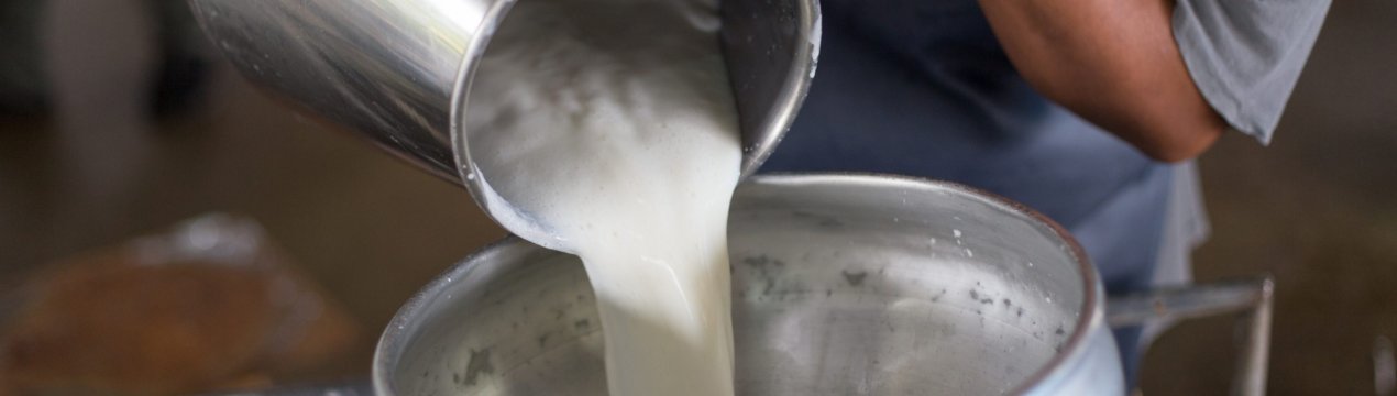 На корм для корів виділили більше сорока мільйонів рублів в надії на «молочні припливи»