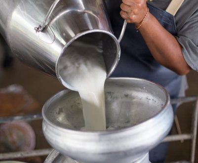 На корм для корів виділили більше сорока мільйонів рублів в надії на «молочні припливи»