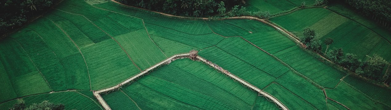 Перспективні молочники, скотарі і аграрії борються за право володіти «ленінградським гектаром»