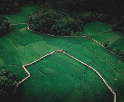 Перспективні молочники, скотарі і аграрії борються за право володіти «ленінградським гектаром»