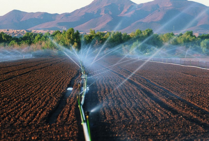 Агрохолдинг HarvEast з Донецької області планує збільшити площі під зрошенням Агрохолдинг HarvEast з Донецької області планує збільшити площі під зрошенням