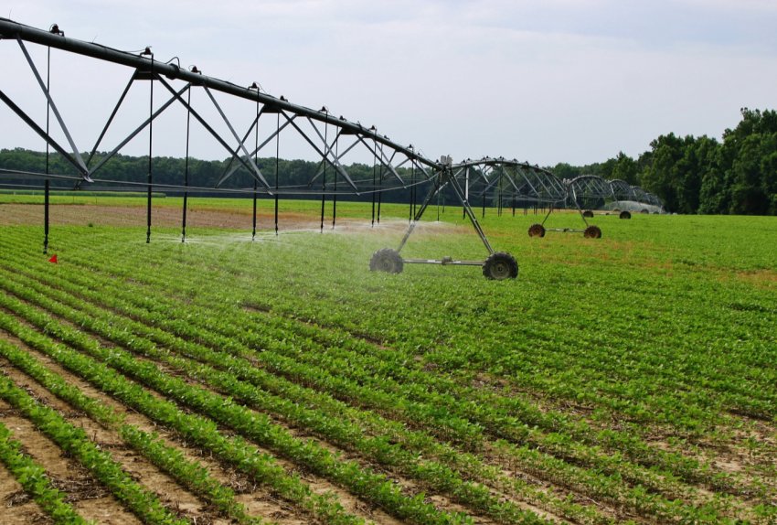 Агрохолдинг HarvEast з Донецької області планує збільшити площі під зрошенням Агрохолдинг HarvEast з Донецької області планує збільшити площі під зрошенням