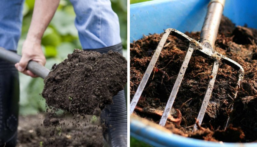 Підготовка грунту на ділянці