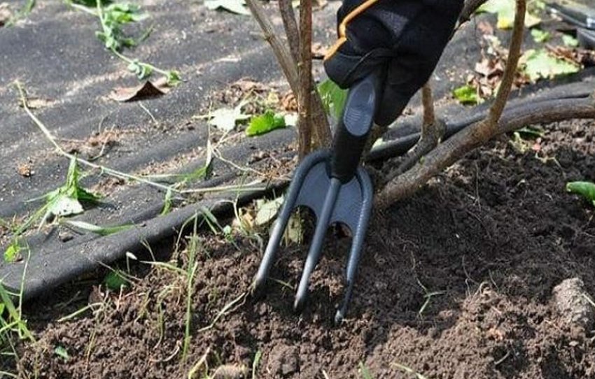 Розпушування грунту Розпушування грунту