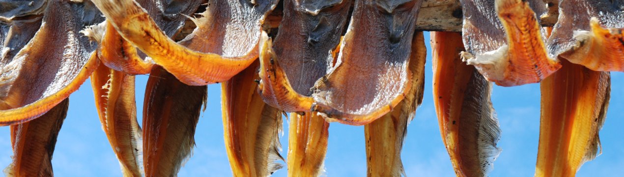 Під Нижньоватровському почнуть масштабно в'ялити місцеву рибу