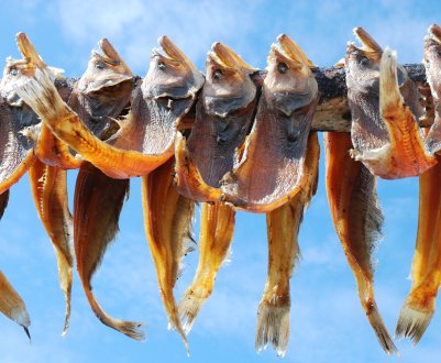 Під Нижньоватровському почнуть масштабно в'ялити місцеву рибу