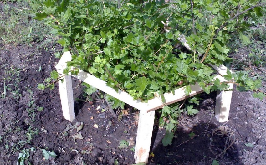 Опора для аґрусу Опора для аґрусу