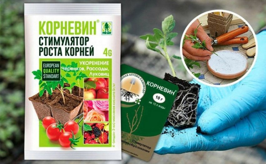Стимулятор росту коренів Корневін