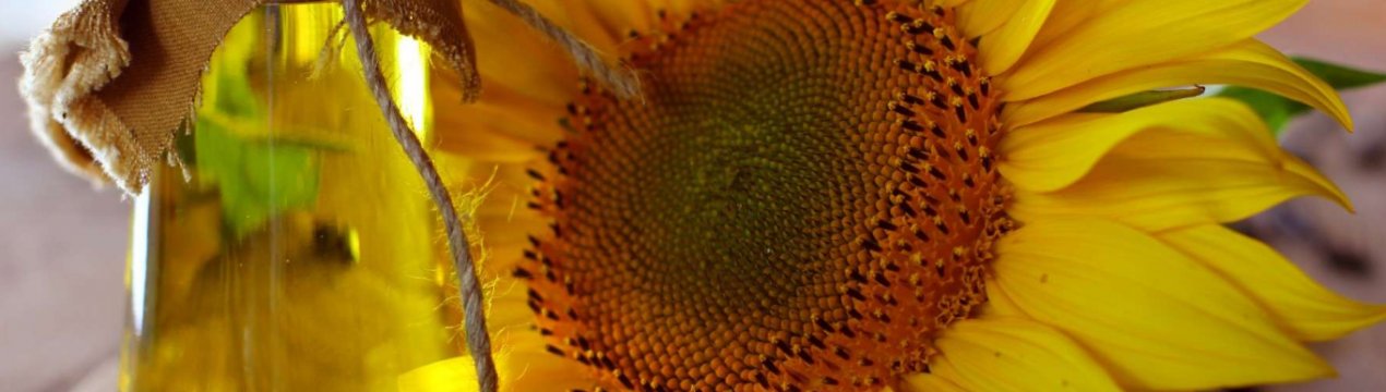 Російські соняшники все активніше переробляють на масло