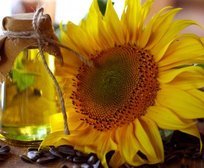 Російські соняшники все активніше переробляють на масло
