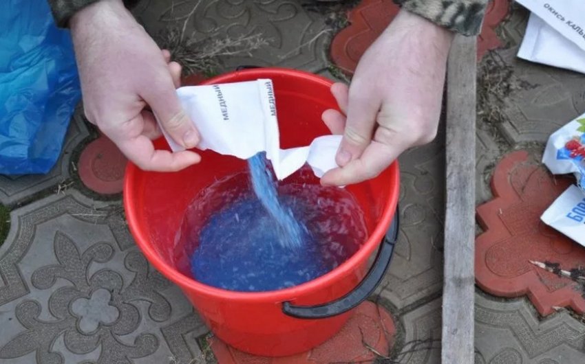 приготування розчину мідного купоросу