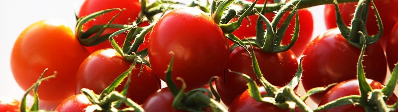 Засолювання помідорів черрі: найкращі рецепти і покрокова інструкція засолювання