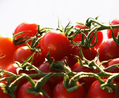 Засолювання помідорів черрі: найкращі рецепти і покрокова інструкція засолювання