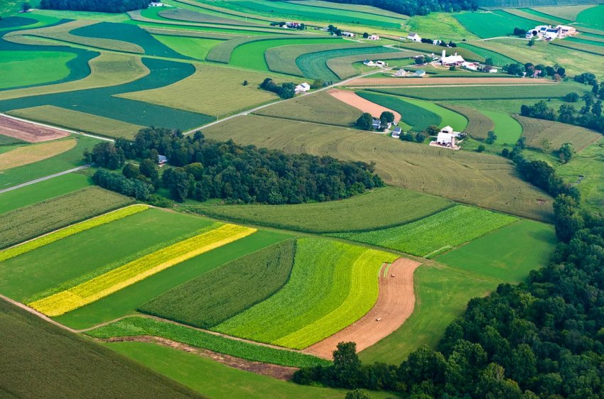 Неохайних російських фермерів будуть позбавляти землі Неохайних російських фермерів будуть позбавляти землі