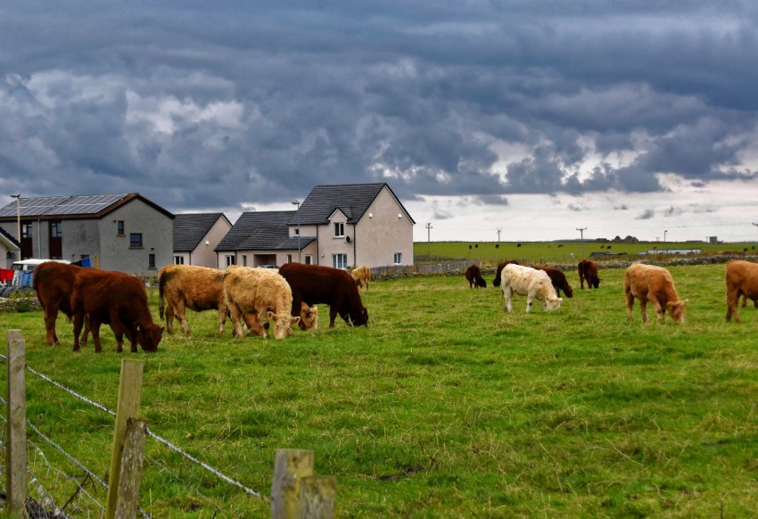 Неохайних російських фермерів будуть позбавляти землі Неохайних російських фермерів будуть позбавляти землі