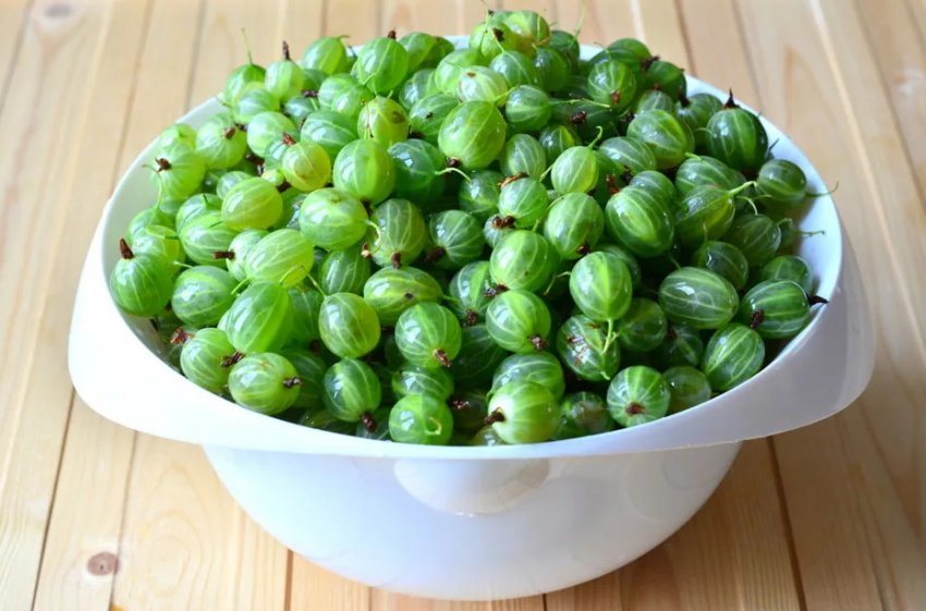 Агрус Уральський смарагд